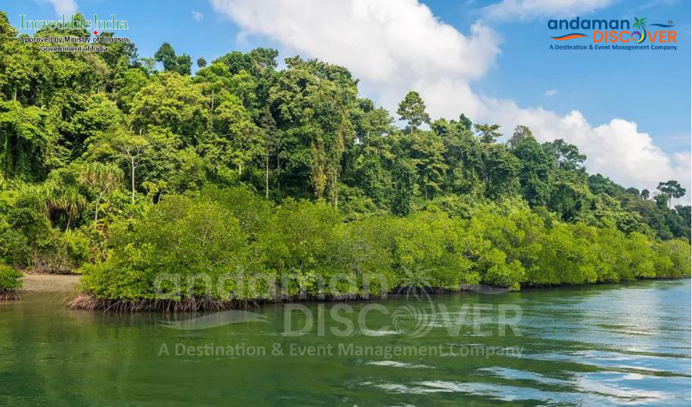 Andaman Tourism, Best Tour Operator