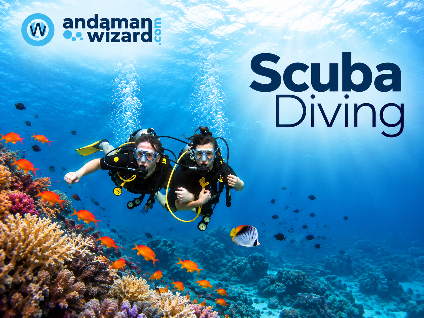Scuba Diving At Havelock (Swaraj Dweep)