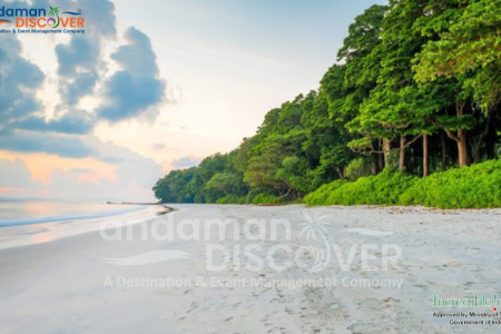 Alluring Andaman